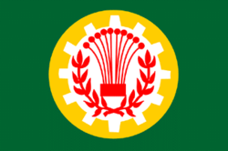 المنصورة